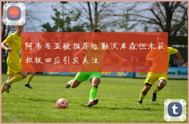 阿韦洛亚被推荐给勒沃库森但未获积极回应引发关注